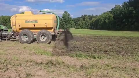 Gli agricoltori polacchi spargono sterco suino...