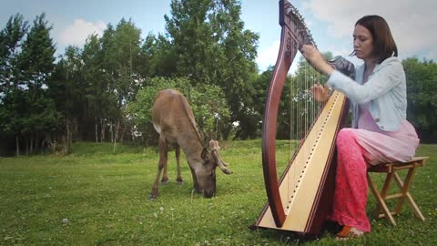 = Harp and deer = Olga Pacuk-The Nightingale (by Deborah Henson-Conant)