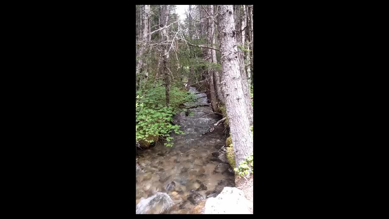 Skagway Alaska Day Hike