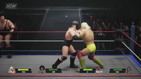 MATCH 140 HOGAN AND ANDRE VS DEMOLITION WITH COMMENTARY