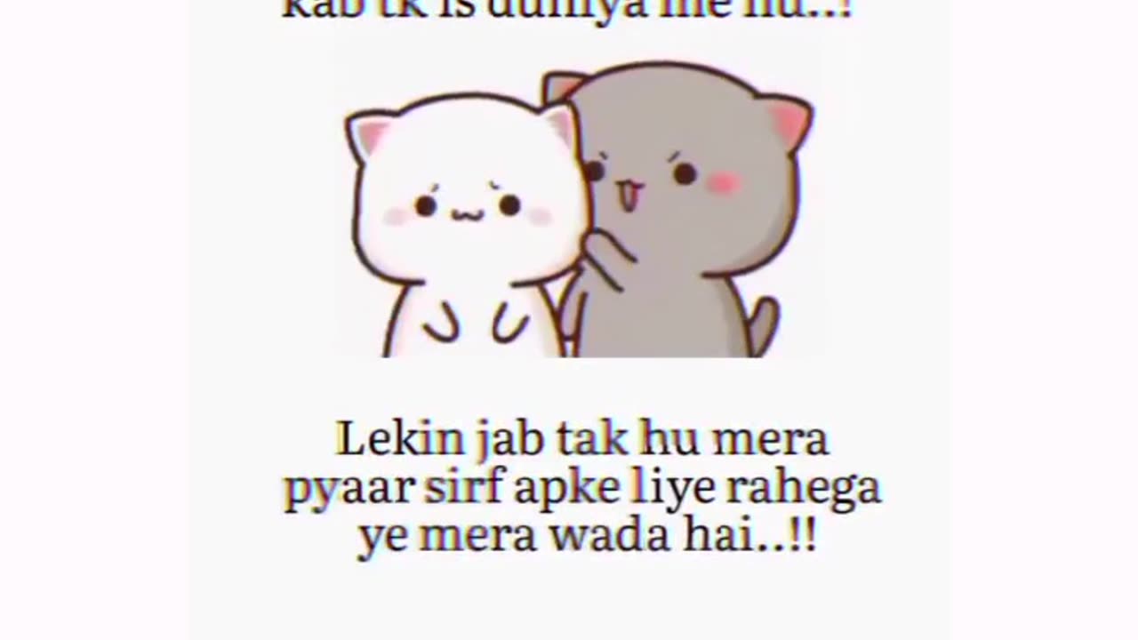 Bubu dudu
