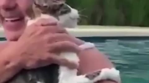 Gatito aullador