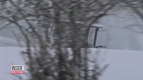How These 56 Dogs Survived Plane Crash Into Golf Course