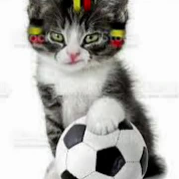 Football Player Cat Style