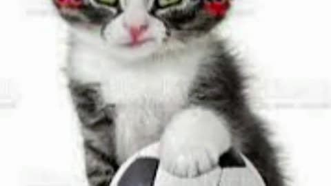 Football Player Cat Style