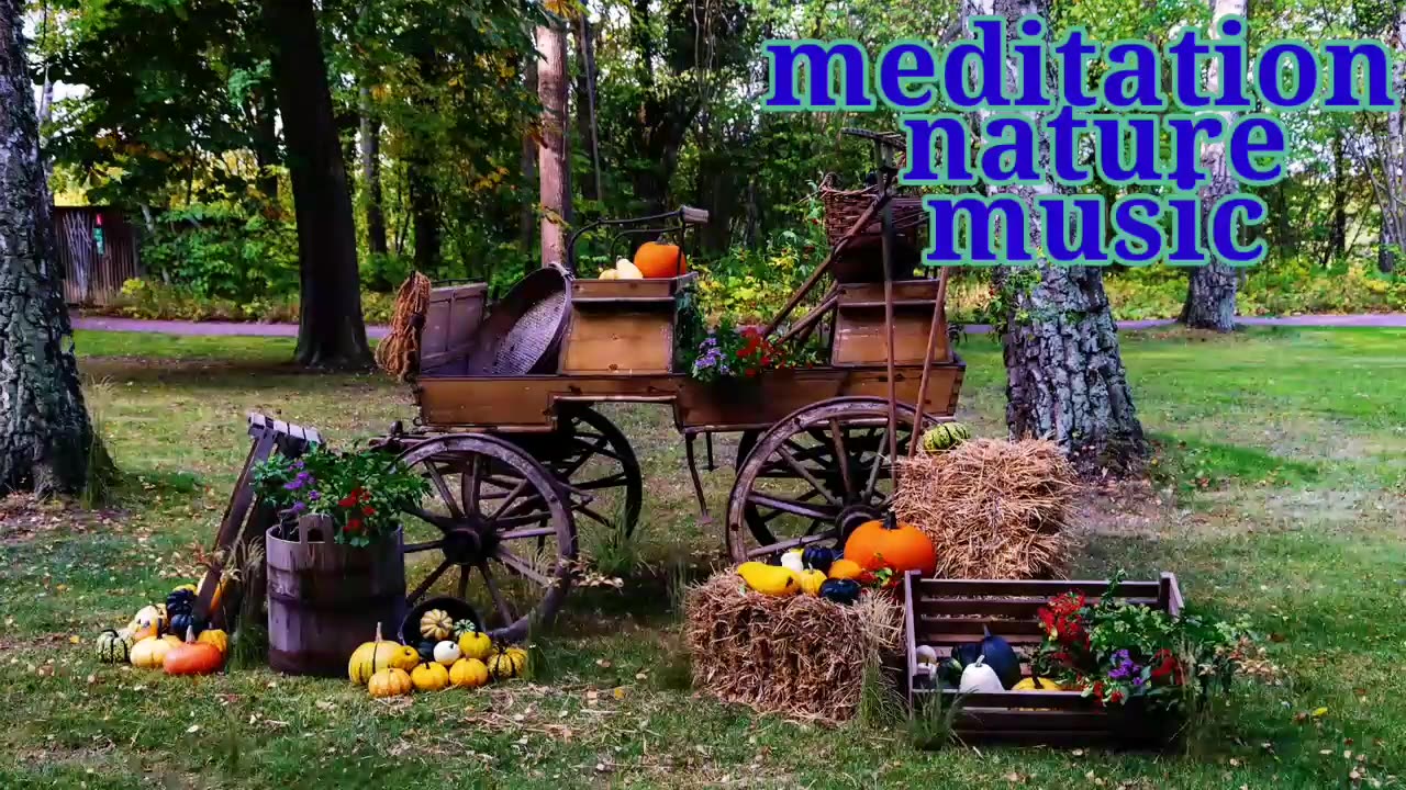 Relaxing Music | Sleeping, Meditation, Stress Relief | [7640] ⭐️