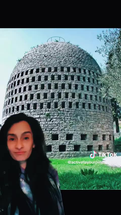 WORLD OF ANTIQUITY - The real purpose of the Coliseum Tik Tok Reaction