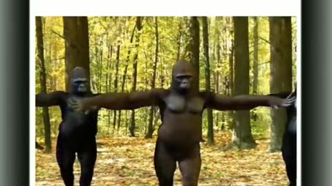 Tip tip barsa Pani funny video