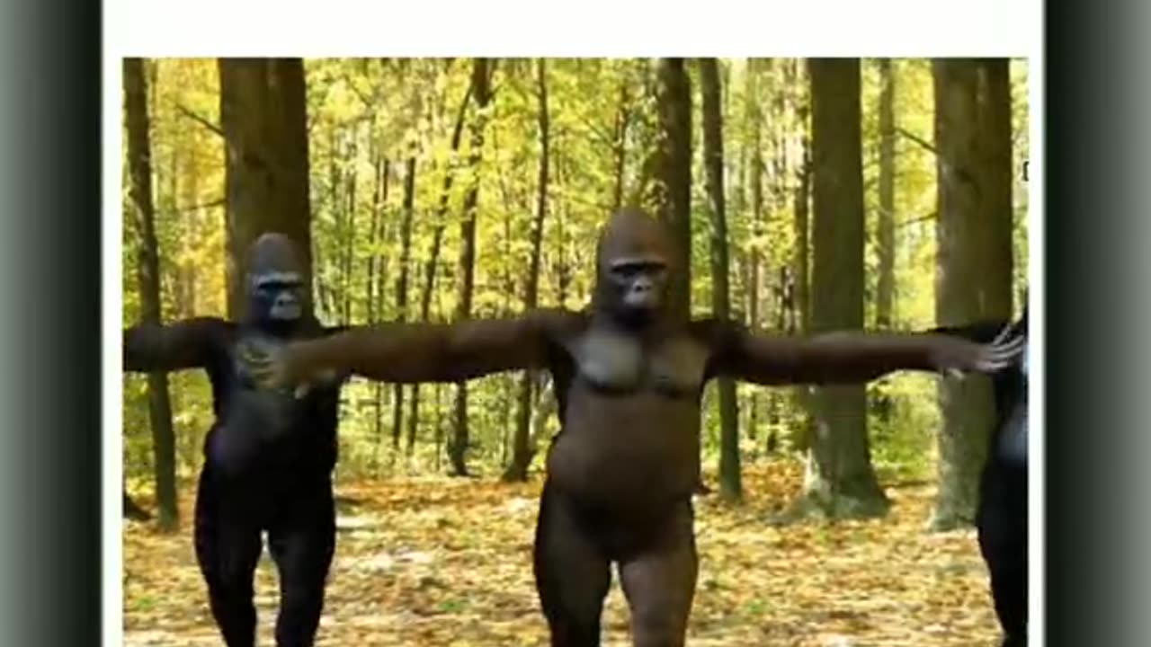 Tip tip barsa Pani funny video