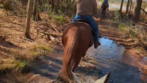 President's day ride