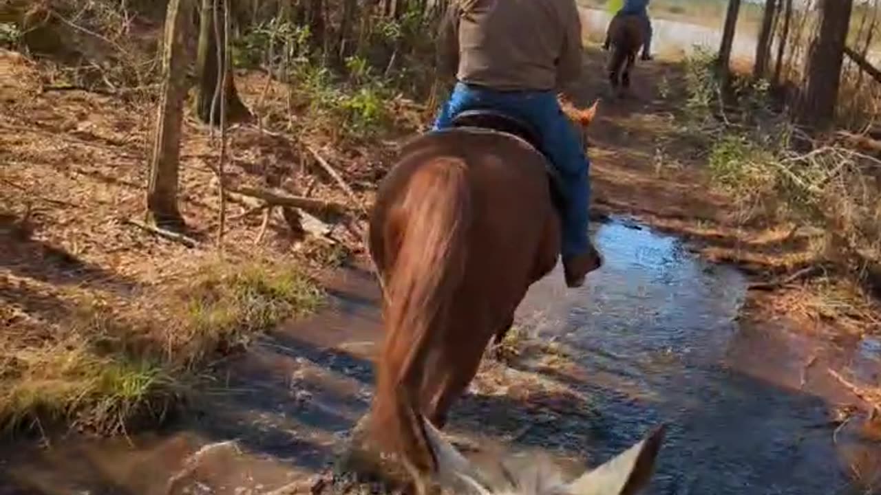 President's day ride