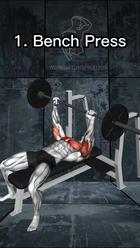 Top 5 Chest Exercises