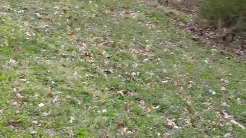 Our sins are buried.