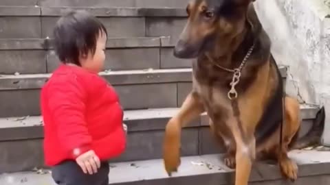 The Cutest Babysitter Ever! 🐶👶💞#cutebaby #dog