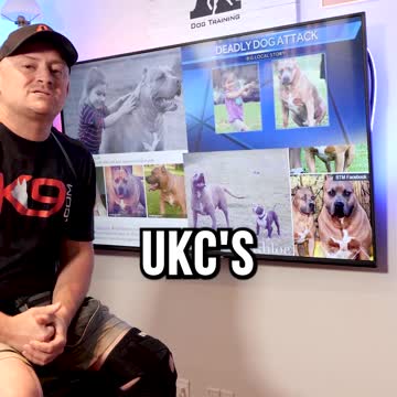 They Story of Killer Kimbo