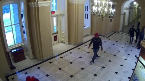 0153USCH01HouseWingDoor_2021-01-06_14h38min52s363ms.mp4