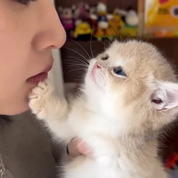 Funniest pets😁😁