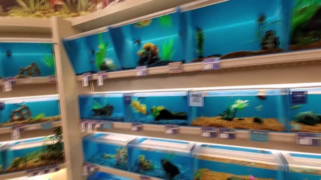 EXPLORING PETSMART ANIMAL FRIENDS EVERYWHERE