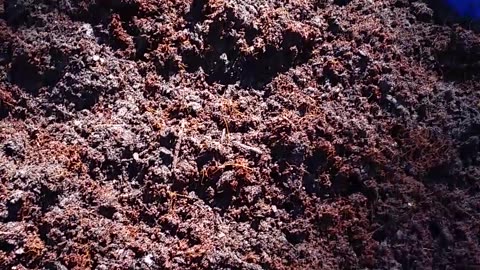 Nancy's BFBY 2-20-23