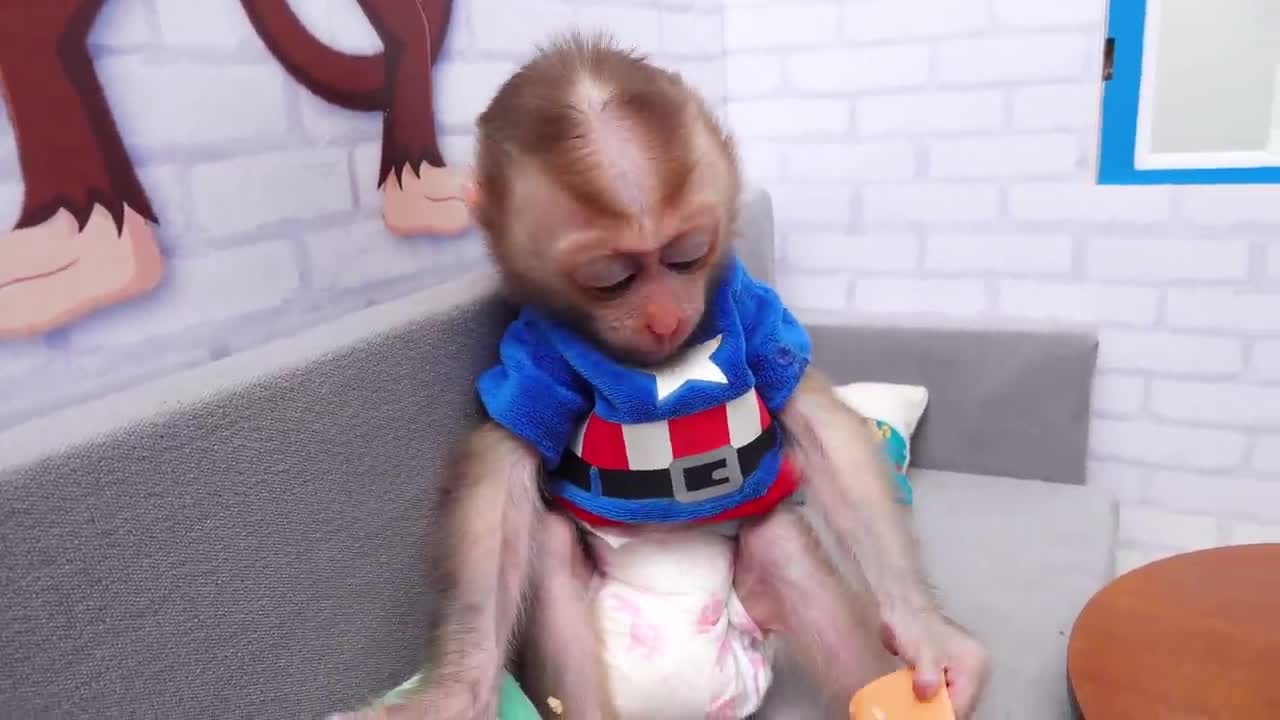 Satisfying video Cute Baby Monkey animals| Zozo Monkey go to toilet and eat Surprise Eggs with Puppy