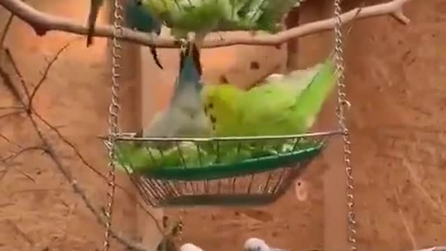 عالم خيالي
