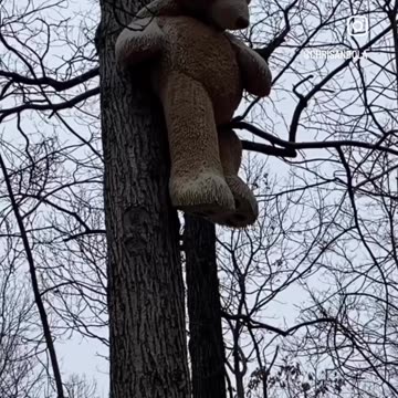 WHY WOULD THEY DO THAT?