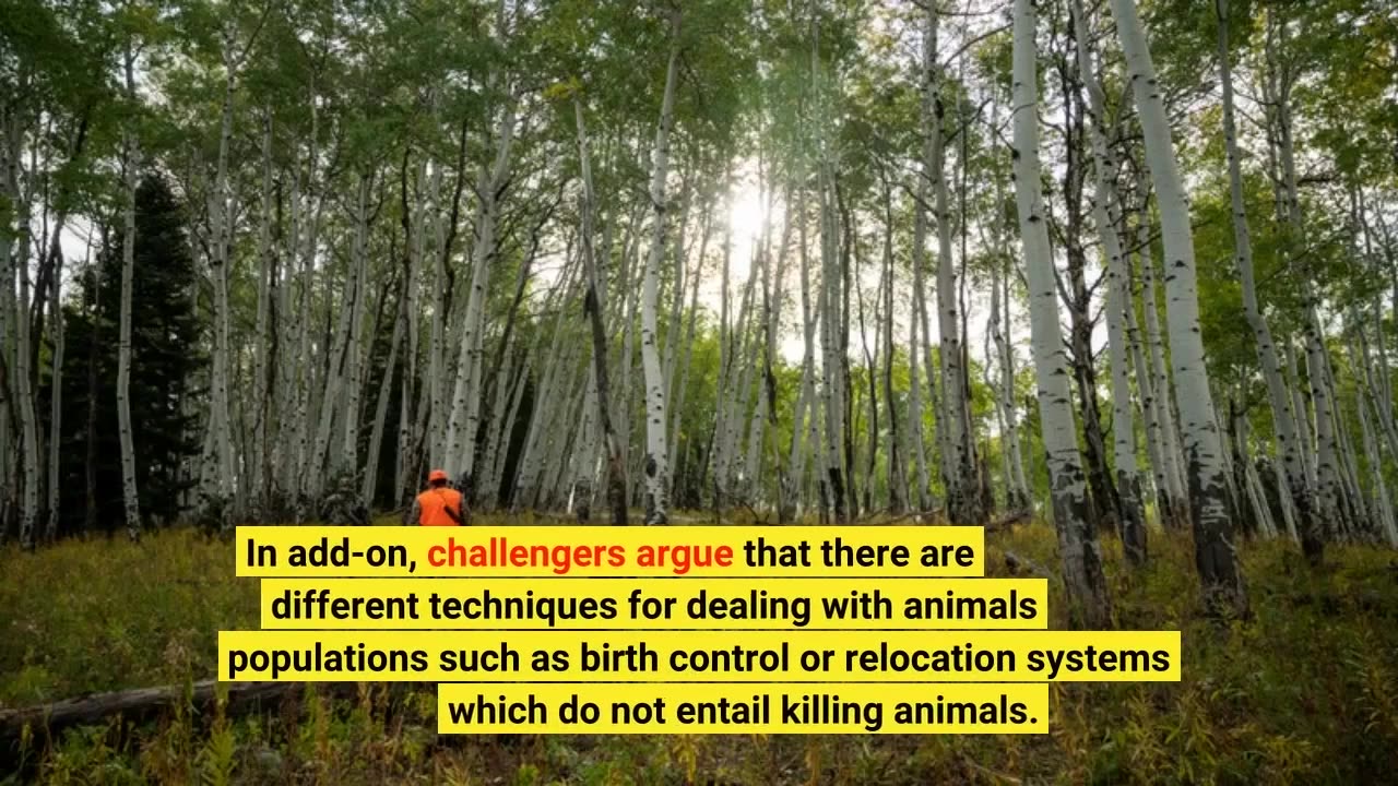 How to Plan a Successful Hunting Trip in America: Tips and Tricks for Dummies