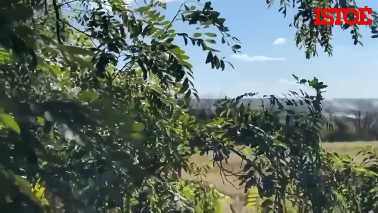 Vídeo mostra ucranianos comemorando derrubada de jato russo
