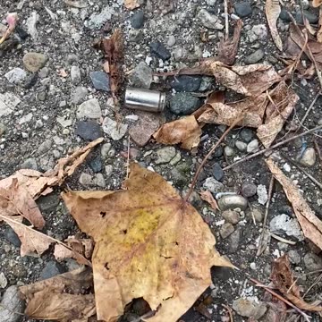 When You’re Told It’s Not A Bad Neighborhood 😳