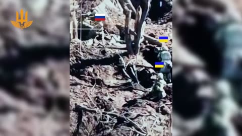 Intense Footage of About 5 Surrounded Russian Soldiers Surrender