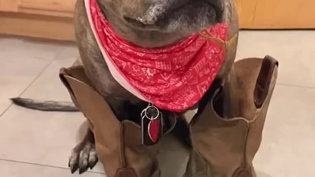 🤠