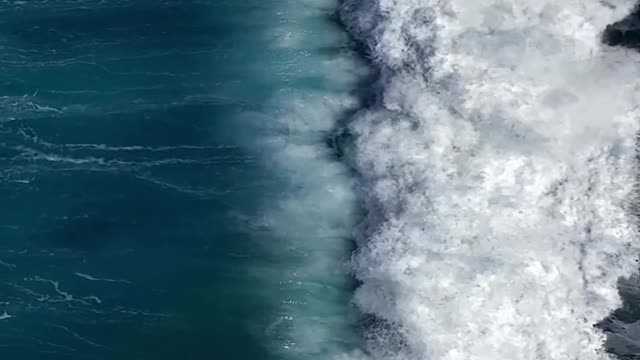 Sea Shore