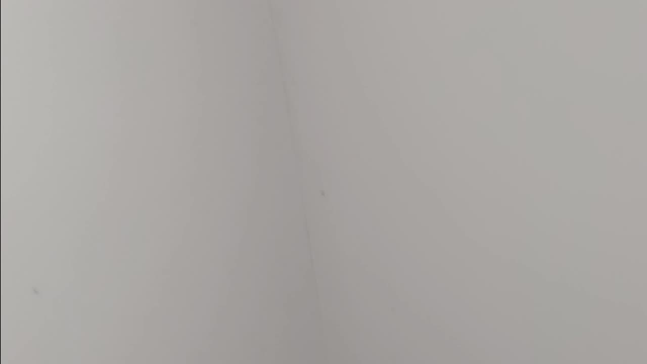 Here, the people rule