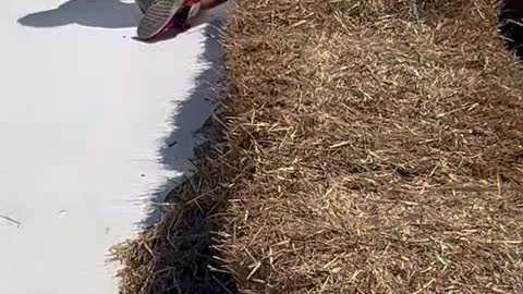 Woman Sends Baby Down Slide too Close to the Edge