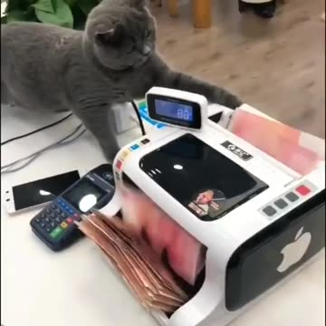 Future personal banking representative 🤣