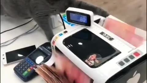 Future personal banking representative 🤣