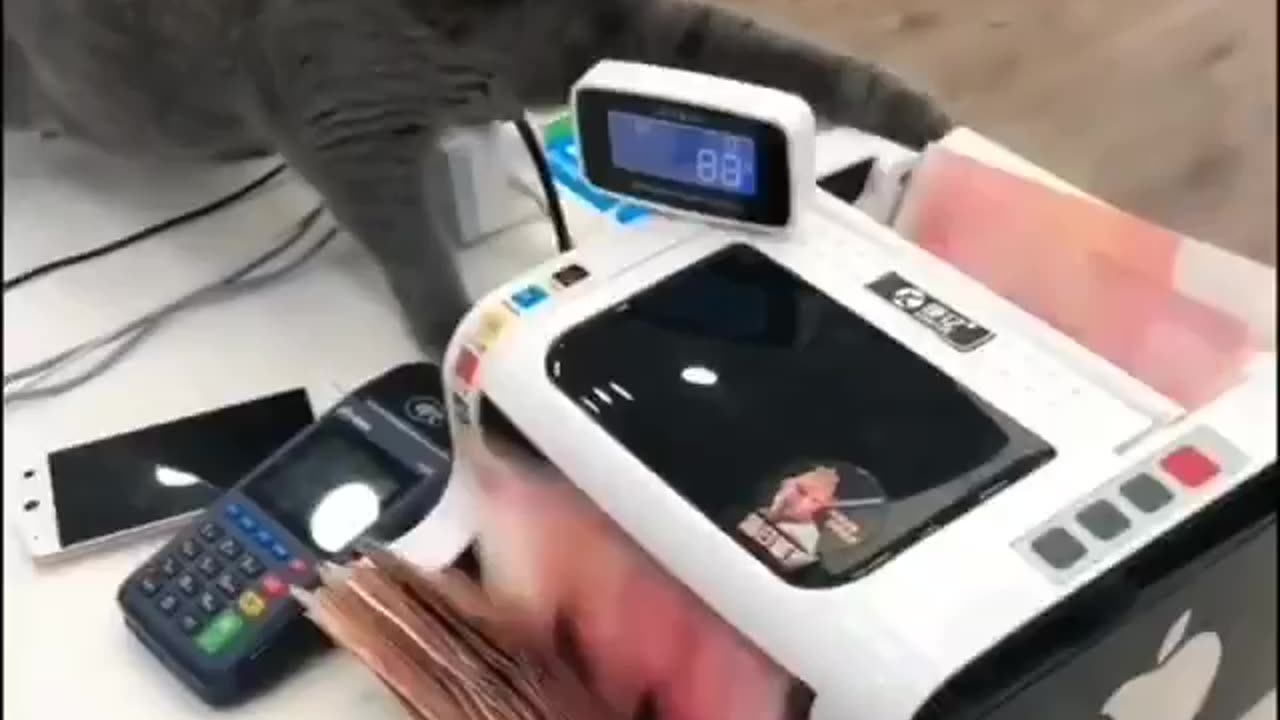 Future personal banking representative 🤣