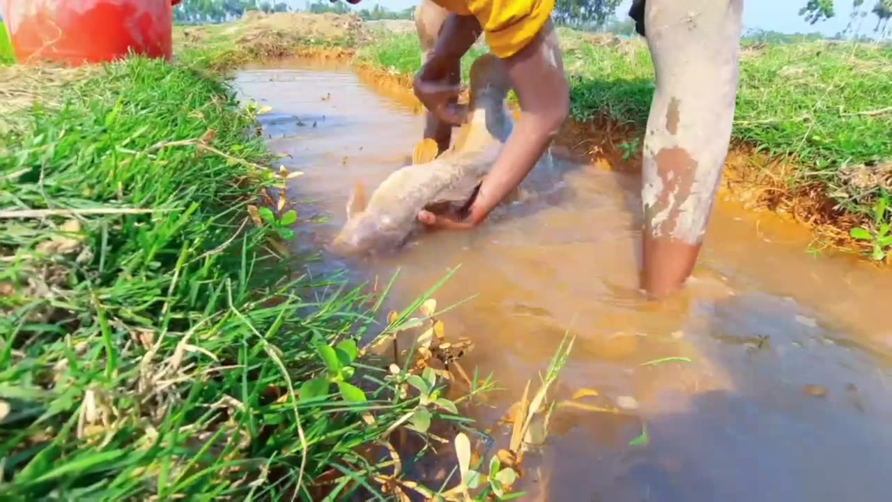 Small boy catching big catfish! Really unbelievable fishing technique!