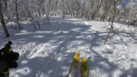 Last run of the for me anyway