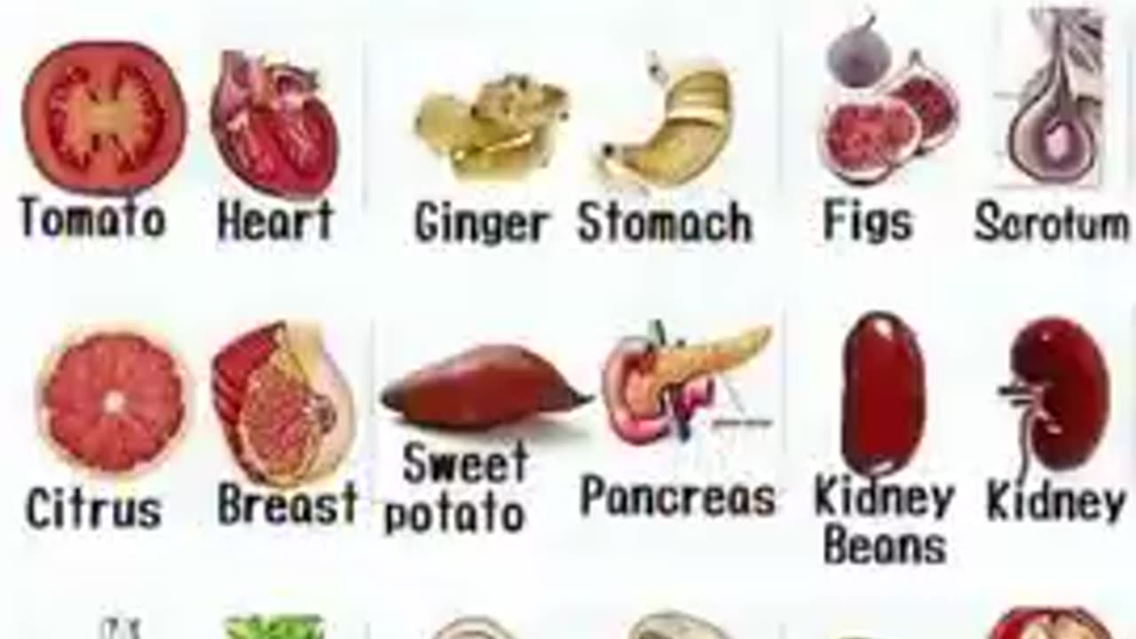 Foods That Benefit Your Body