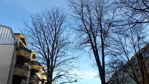 Himmel in Berlin am 30.12.2022 um 12:45 Uhr