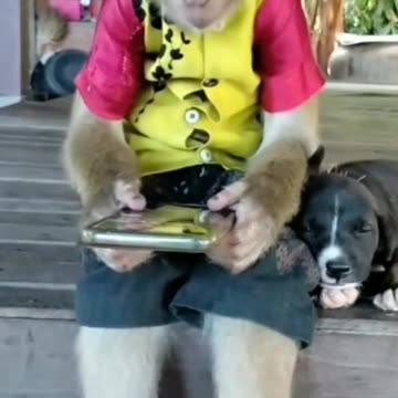 When you watching something on Rumble and kid interrupts