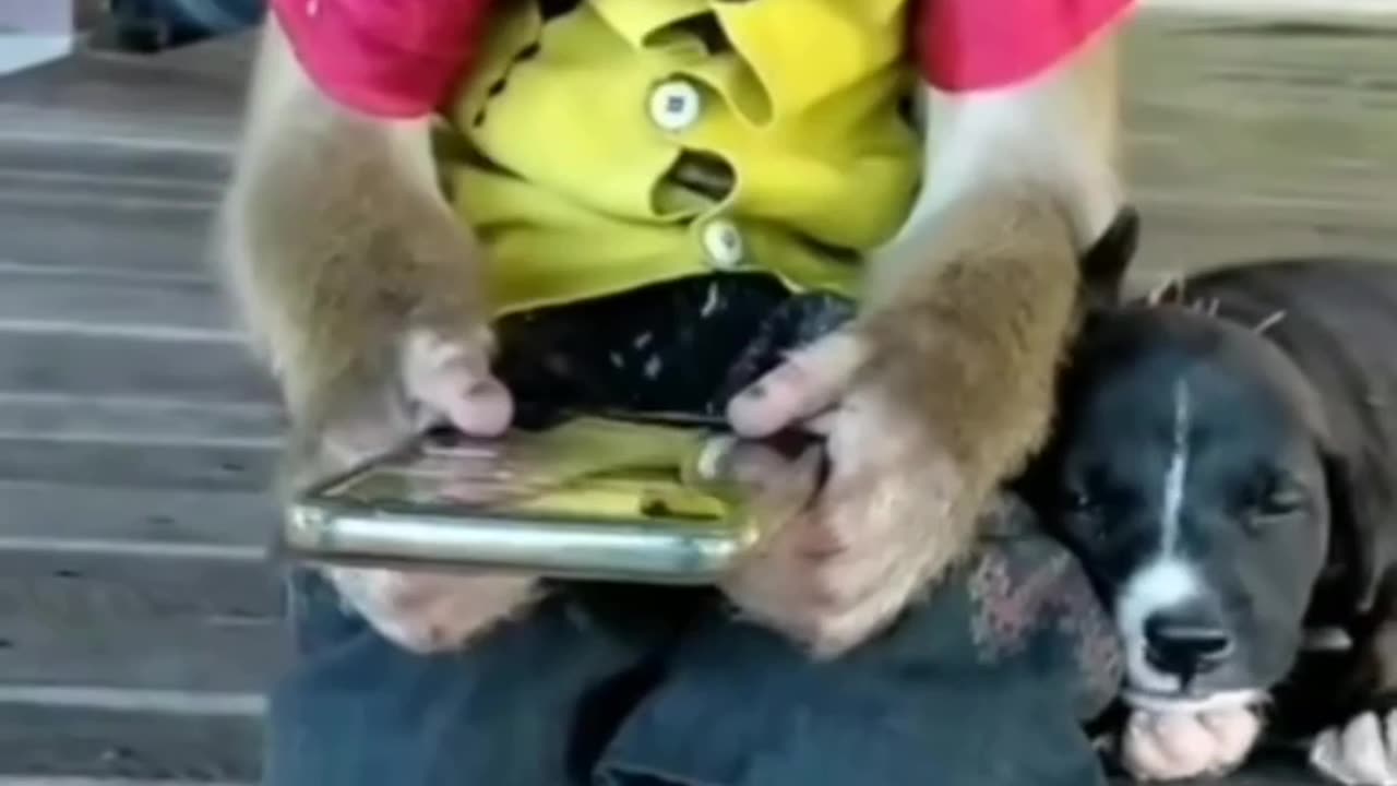 When you watching something on Rumble and kid interrupts