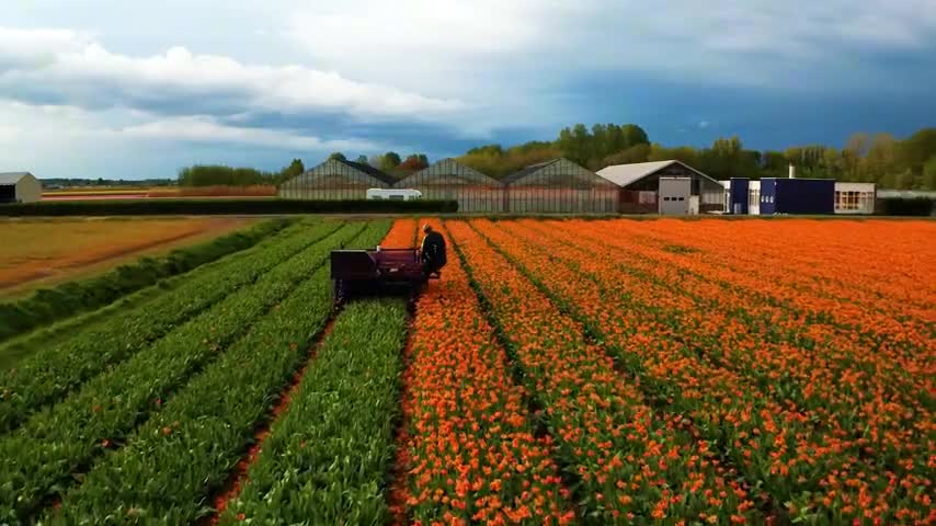 Il rispetto per gli altri è una conoscenza e un paesaggio di vita