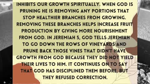 Pruning