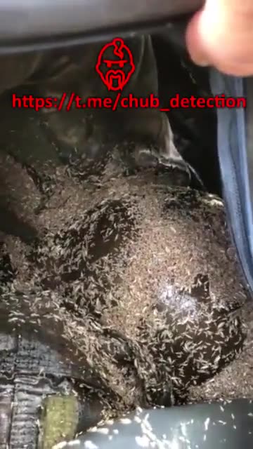 UCRANIA ARMY BODYS AFTER BATTLE.