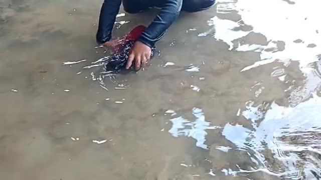 playing at the beach