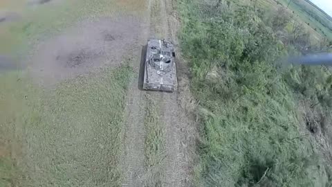 Zherebianki_09.08.2023