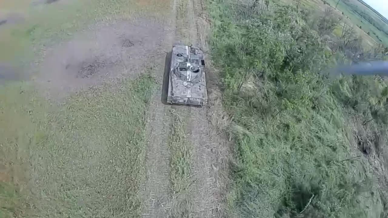 Zherebianki_09.08.2023