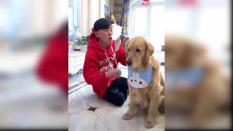 Compilation of Cute and Funny Animal Videos: Best Friend